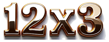 12x3 logo